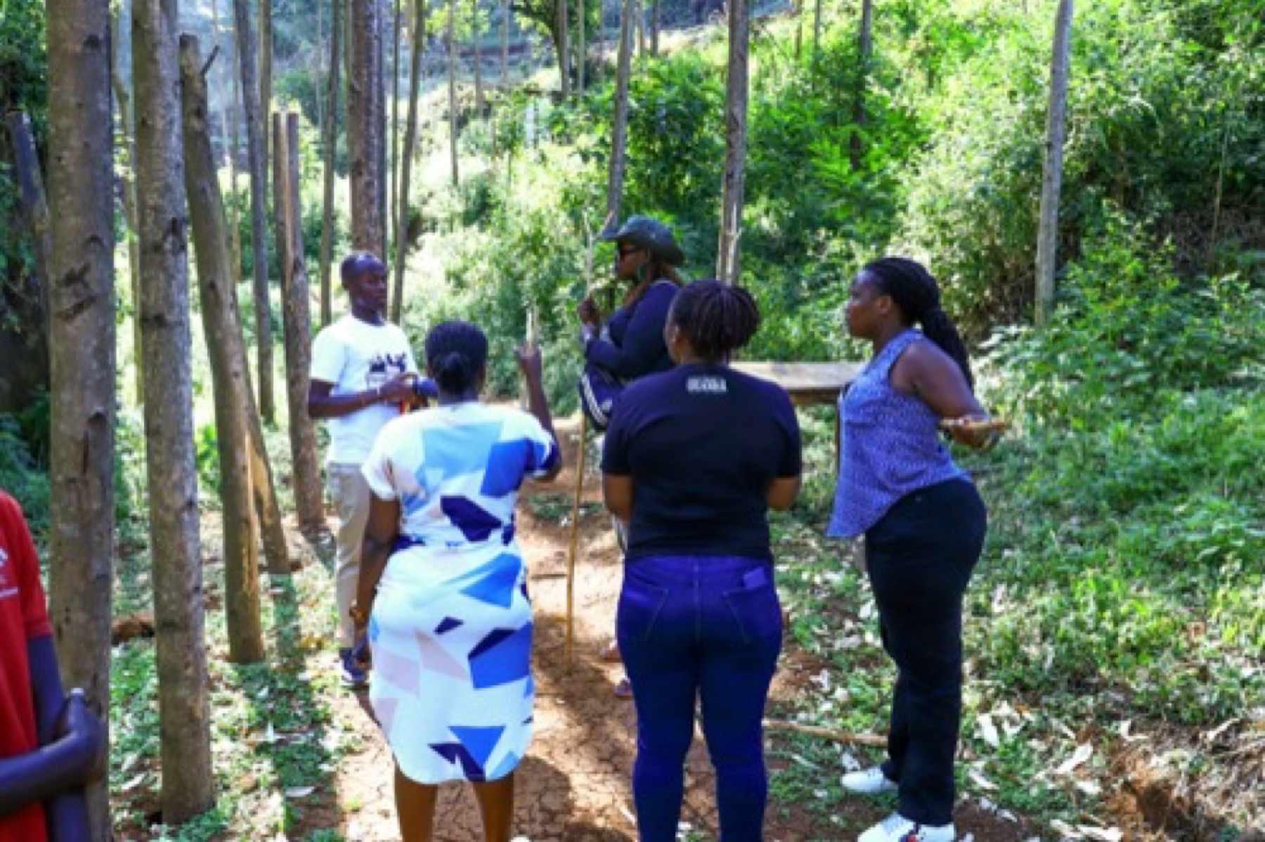 Corporate team completing an outdoor group challenge